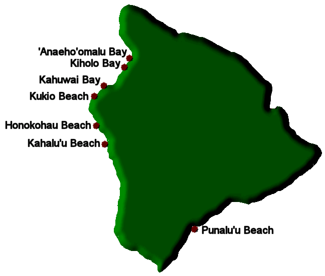 Big_Island_Turtles