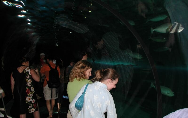 Maui_Ocean_Center