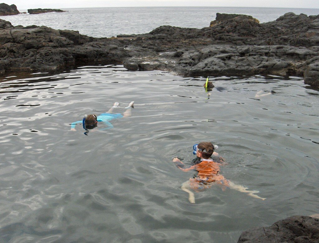 snorkeling on Maui
